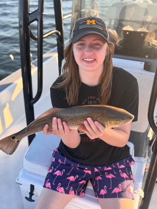 4-8 Hours Inshore Trip