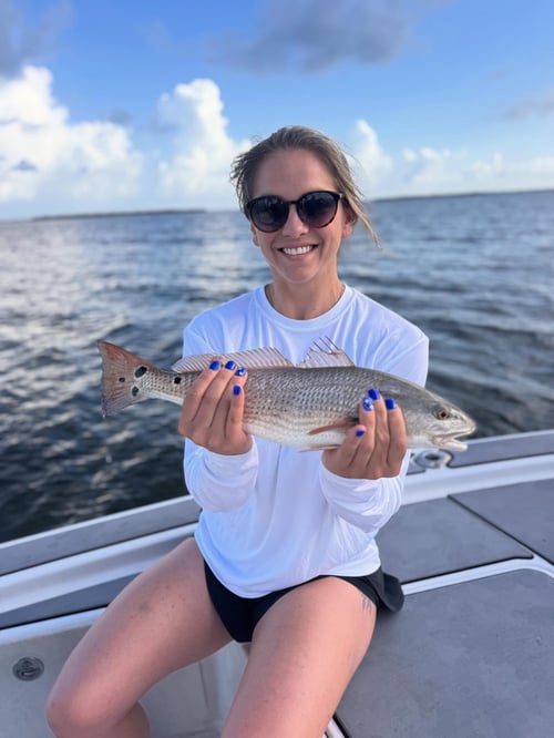 4-8 Hours Inshore Trip