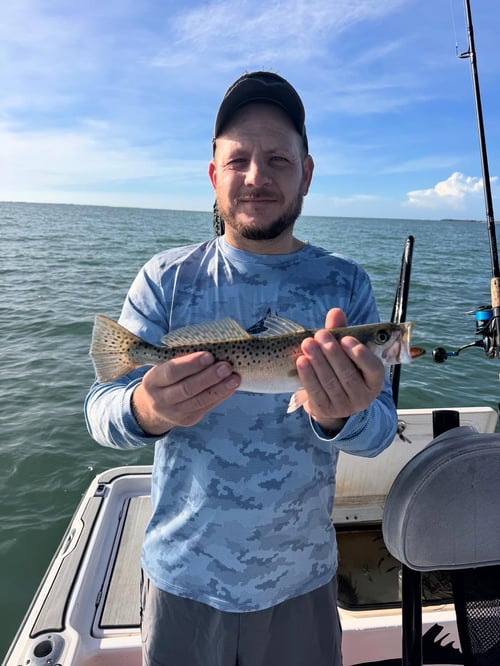 4-8 Hours Inshore Trip