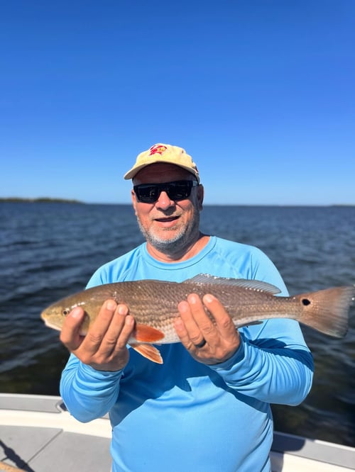 4-8 Hours Inshore Trip