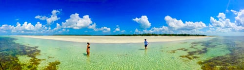 Key West Fishing Adventure