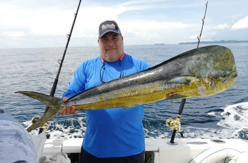 8 Hour Trip – Taboga