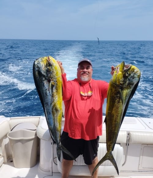 8 Hour Trip – Taboga