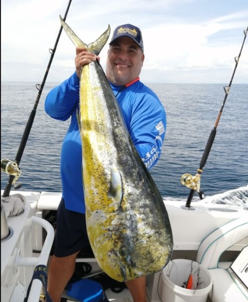 Pearl Islands Contadora Fishing