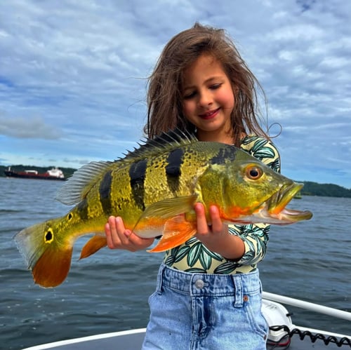 3-12 Hours Fishing Trip 