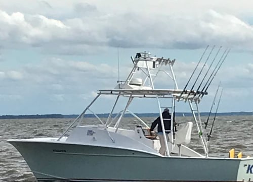 4-8 Hour Inshore Trip