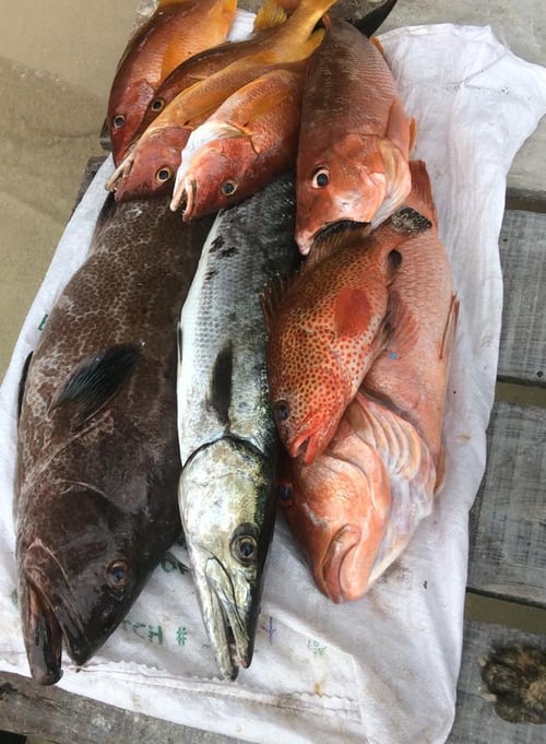 Fishing Trip