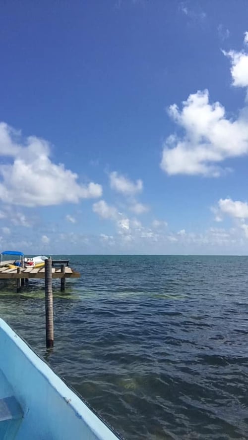 Snorkling and Eco Tours 