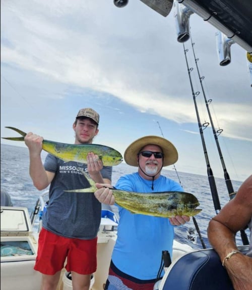 4-8 Hour Offshore Trip 