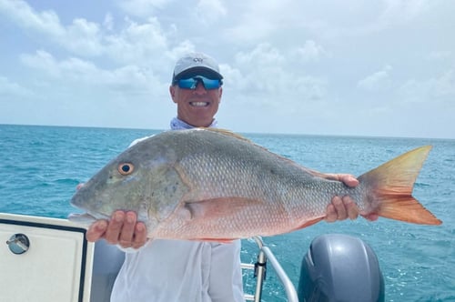 4-8 Hour Offshore Trip 