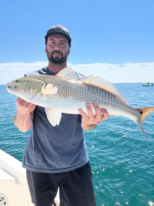 4-hour Fall Fishing Trip