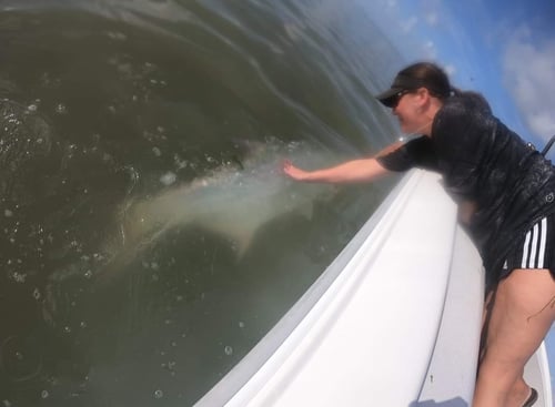 3-6 Hr – Inshore Trip 