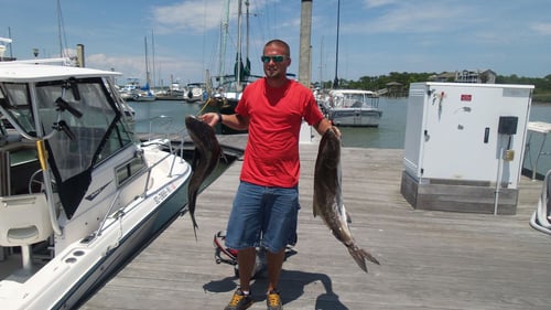 3-6 Hr "REEF" Trip