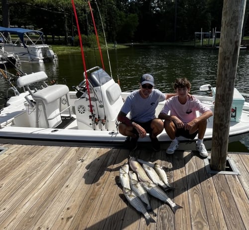 Stripe Bass fishing Trip