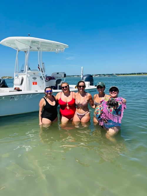 Eco and Dolphin Tour