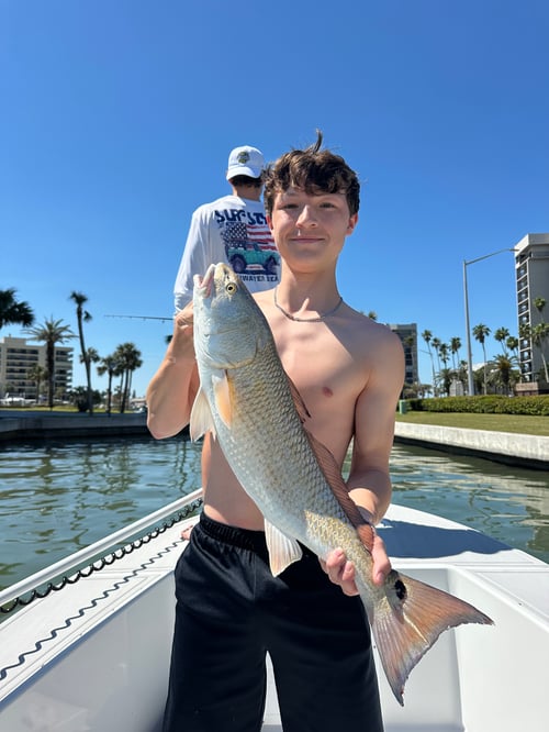 4 hour inshore 