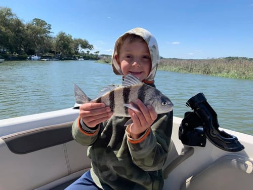 Fishing and Dolphin Trip