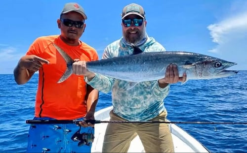 Spin Fishing 