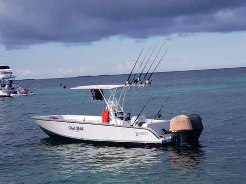 Placencia Fishing Experience