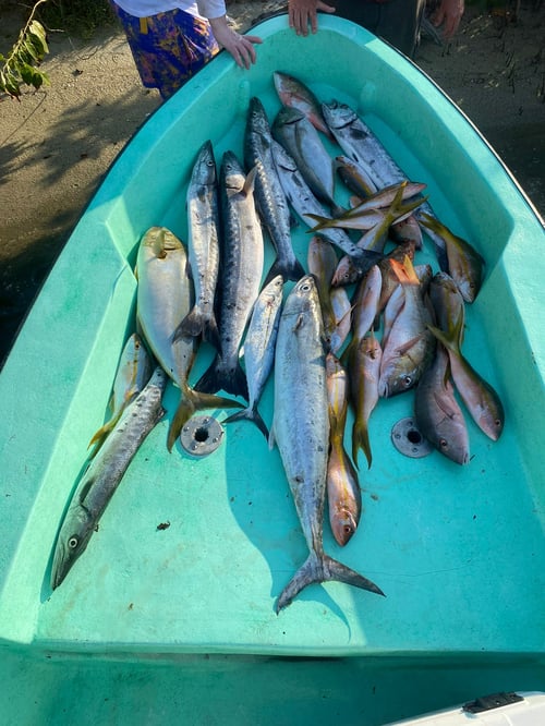 Placencia Fishing Experience