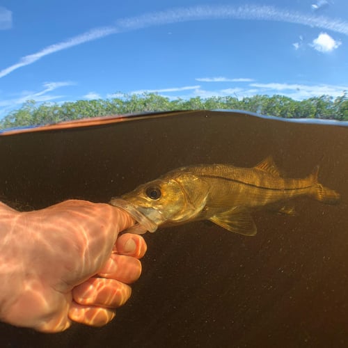 Backcountry Tarpon & Bonefish