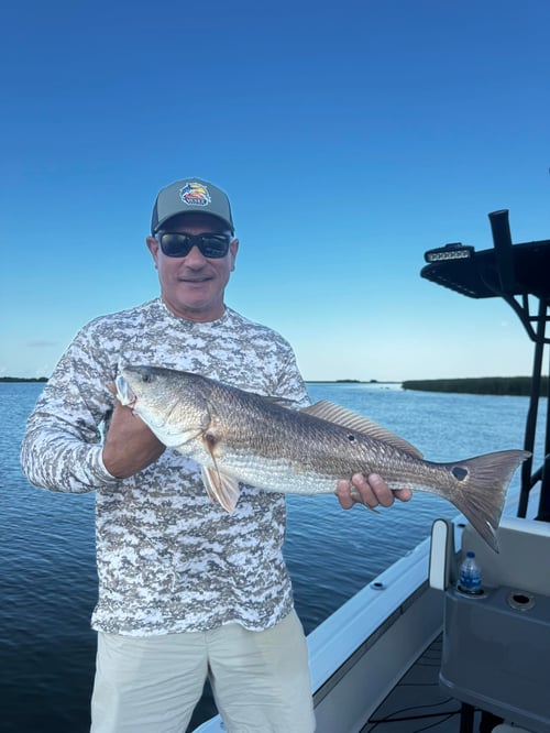 Tails in the Tides-Redfish & Trout