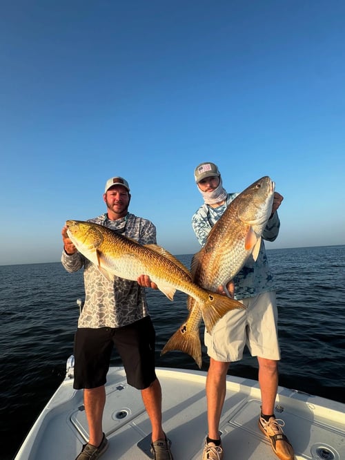 Tails in the Tides-Redfish & Trout