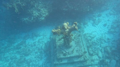 Key Largo Fishing & Snorkel Combo