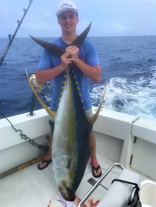 Kona Fishing & Snorkeling