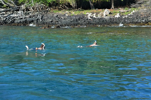 Fishing and Snorkel Trips