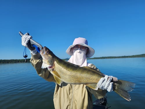 Elite Guide Service- Beaver Lake