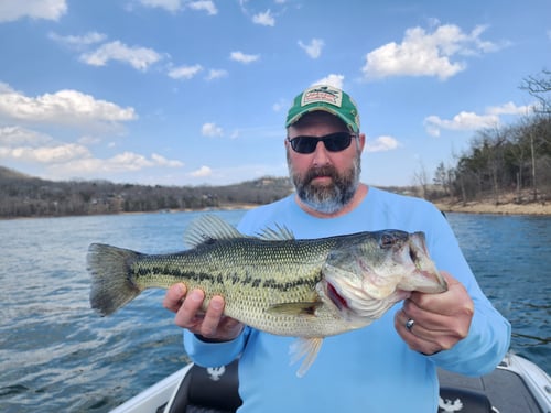 Elite Guide Service- Beaver Lake