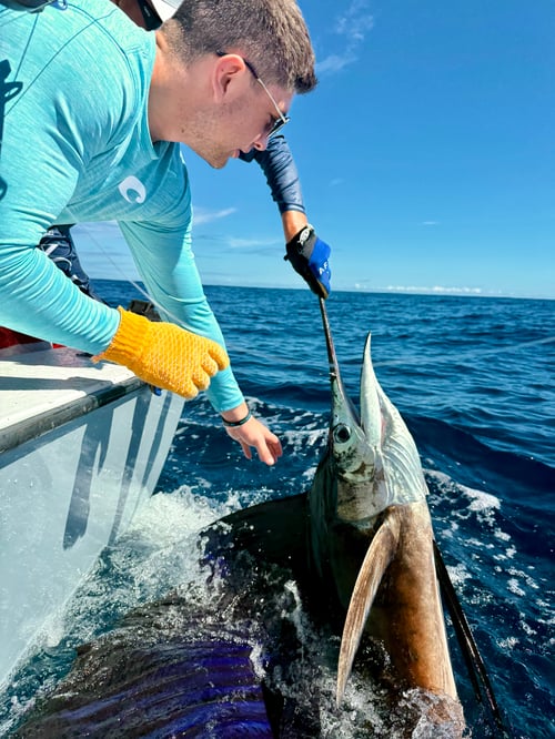 Full Day Offshore or Inshore
