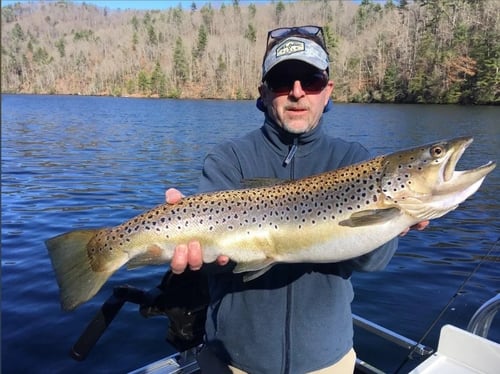 4-6 Hour Fishing Trip