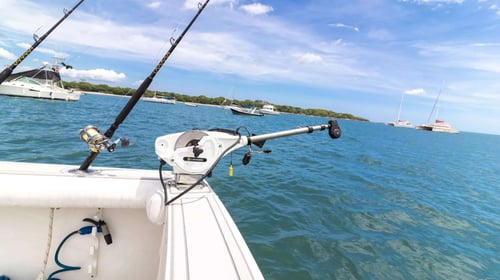 Big Game Fishing in Tamarindo 