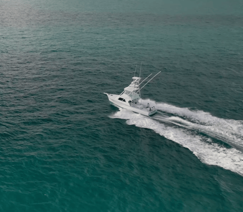 Dawn to Dusk Key West Fishing Trip