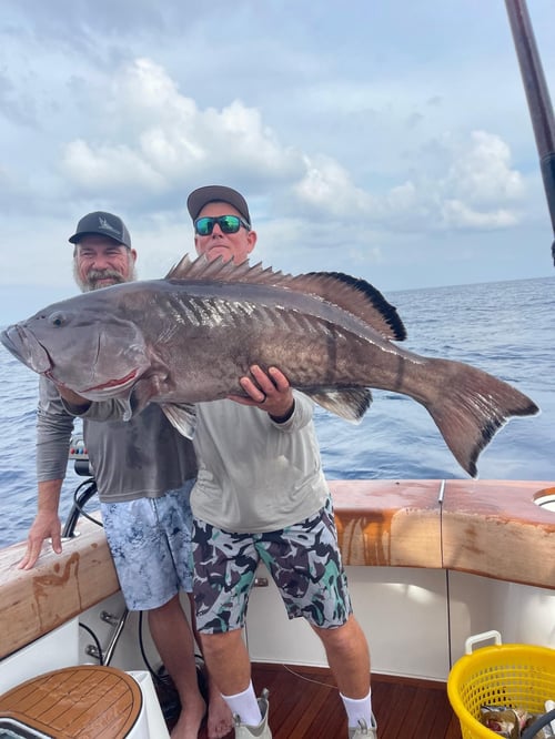 Key West Offshore Action