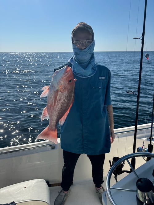 Nearshore bottom fishing/trolling