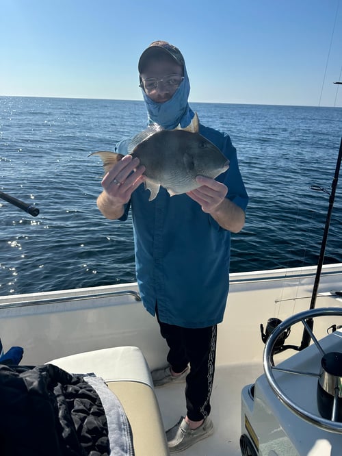 Nearshore bottom fishing/trolling