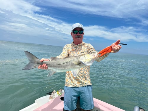  Inshore Fishing Trip