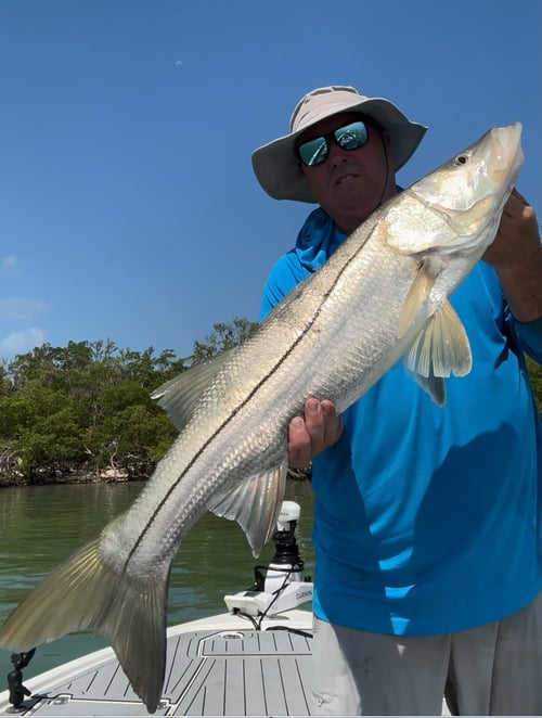 Everglades City Nearshore