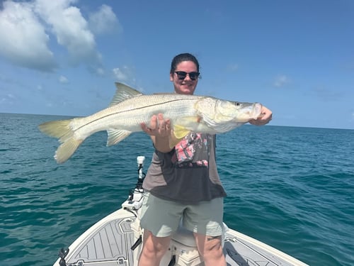 Everglades City Nearshore