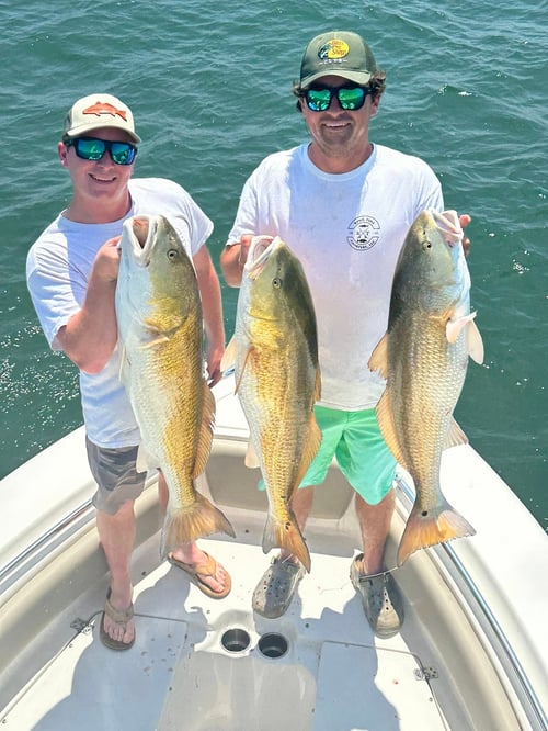 Virginia Beach Inshore Fishing