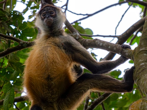 2 PER ROOM 2 PER BOAT