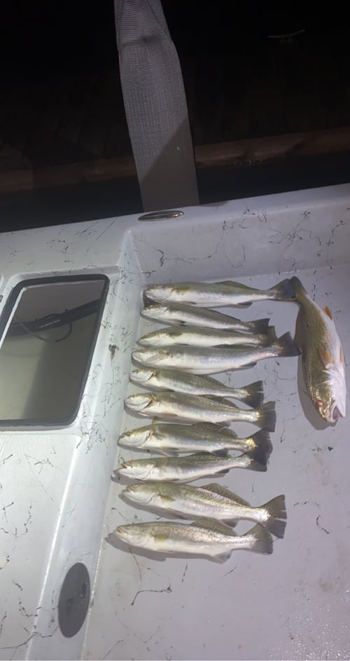 Texas bay and back lake fishing 