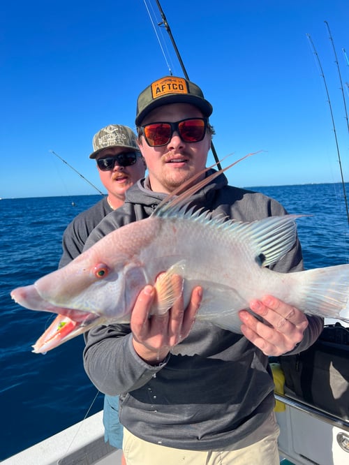 Inshore reefs 