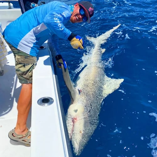 Key West Shark Trips - 29’ Sea Vee