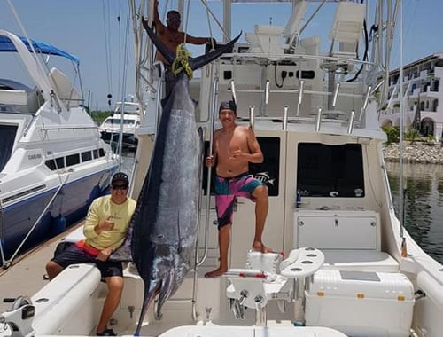 Luxury Deep Sea Fishing 12 hrs 