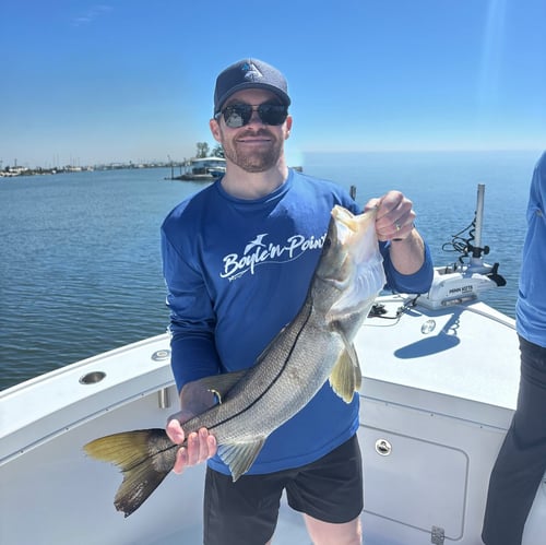 2-8 Hour Inshore Trip