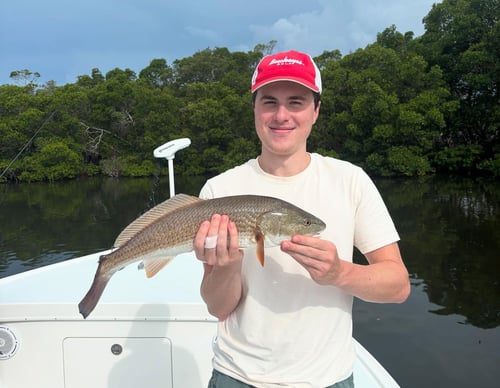 2-8 Hour Inshore Trip